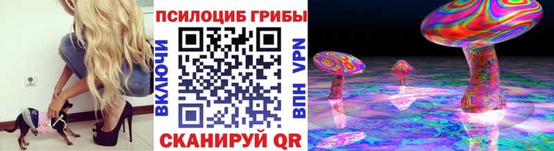Псилоцибиновые грибы мицелий  хочу наркоту  Курильск 